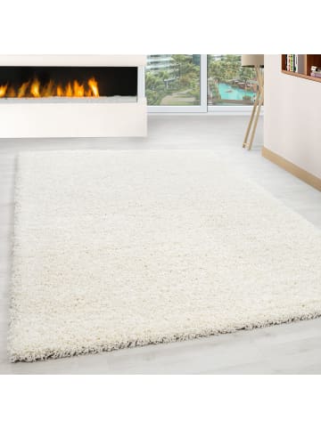 KADIMA DESIGN Teppich Hochflor Shaggy Waschbar Einfarbig RHEIN Strapazierfähig in Creme