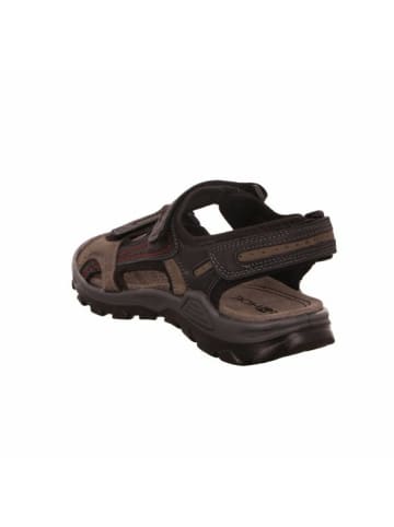 ROHDE Sportliche Sandalen für Herren in schwarz