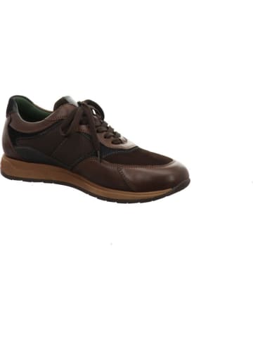 Galizio Torresi Sneaker in braun