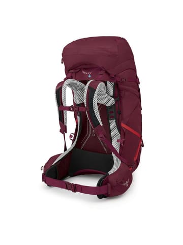 Osprey Aura AG LT 65 WM/L - Trekkingrucksack 83 cm (antidote purple) in antidote purple