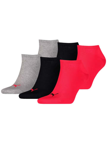 Puma Socken 6er Pack in Rot