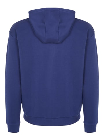 Iceberg Kapuzenpullover für Herren in blau