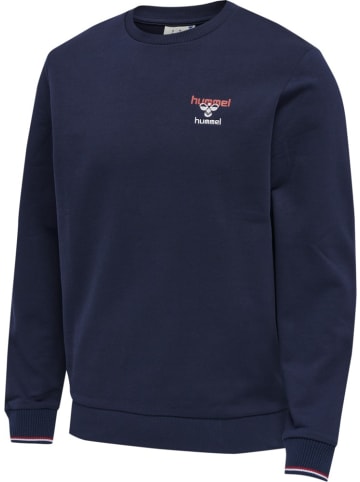 Hummel Pullover in Blau