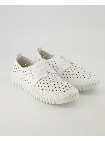 Terry Sneaker low in Weiß