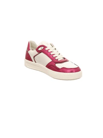 Sioux Sneaker Low in pink