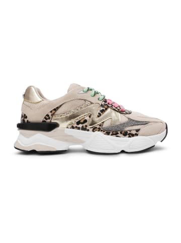 Steve Madden Sneaker SPEEDER Sand