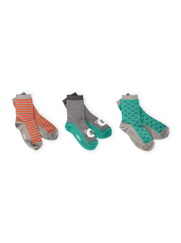 Sigikid Socken-Set 3er Polar Expedition in grau/grün/rot