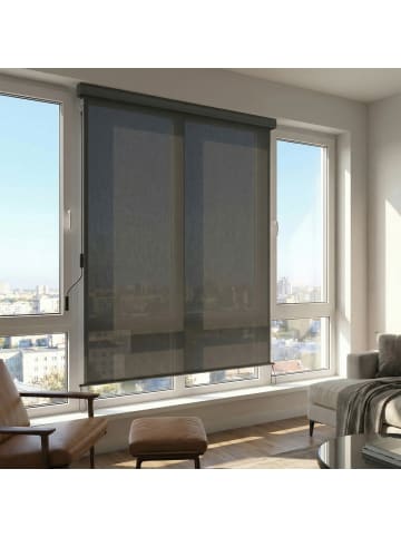 SONGMICS Seitenmarkise Sheld in Rauchgrau - (B)250 x (H)160 cm
