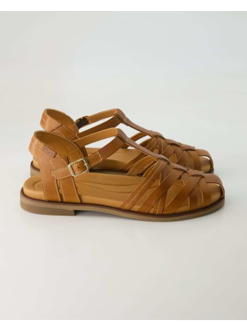 Pikolinos Sandalen in Braun