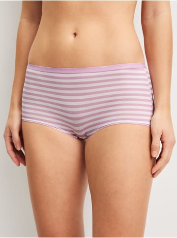 Calida Panty, 3er-Pack in fragrant lilac