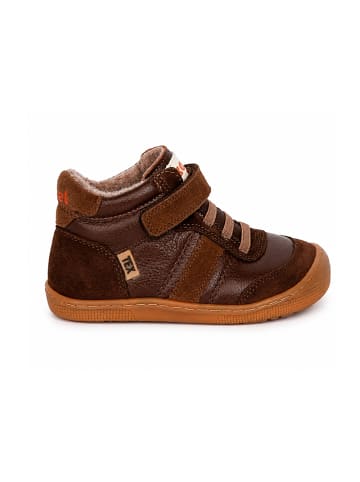 KOEL Sneaker High DANIEL 3.0 SUEDE in braun