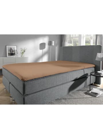 REDBEST Single-Jersey Topper-Spannbettlaken Denver in hellbraun