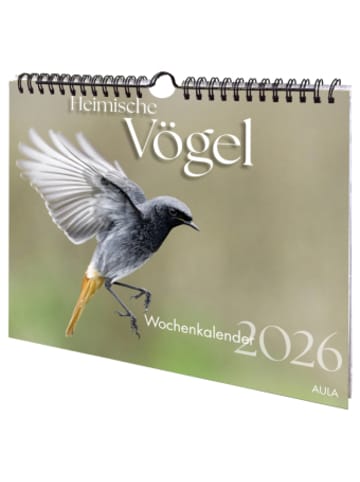 AULA-Verlag Kalender - Heimische Vögel 2026