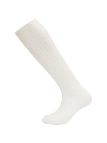 DEVOLD MERINO LONG STOCKING in Weiß