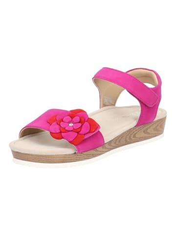 ara Sandalen in Pink/Rot