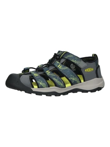 Keen Wanderschuhe Blau/Grau