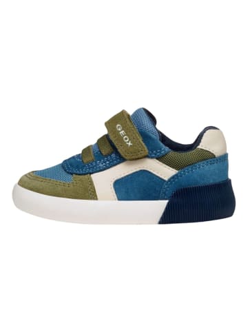 Geox Sneaker in Blau/Braun