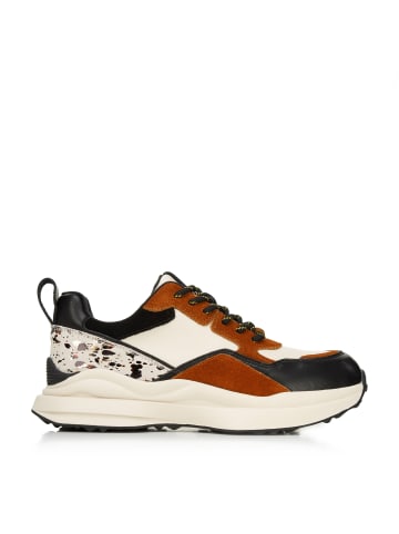 Wittchen Sneakers - premium brand leather shoes in Multicolor