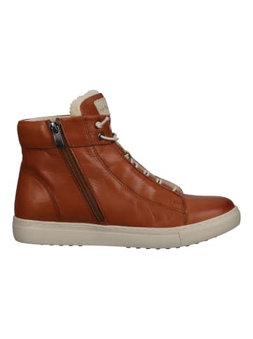 Hush Puppies Sneaker in Cognac