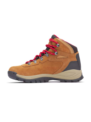 Columbia Sneakers Low NEWTON RIDGE PLUS WATERPROOF AMPED in braun