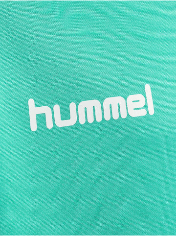 Hummel Hummel Hoodie Hmlpromo Multisport Unisex Kinder in ATLANTIS