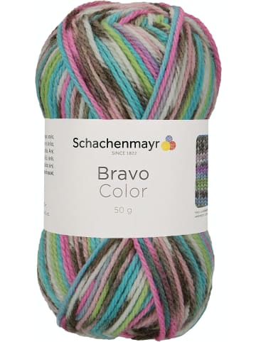 Schachenmayr since 1822 Handstrickgarne Bravo Color, 50g in Mineral Jacquard