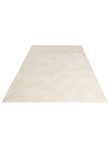 Teppich Boss Kurzflor Teppich Bruno Flow 225 in Creme