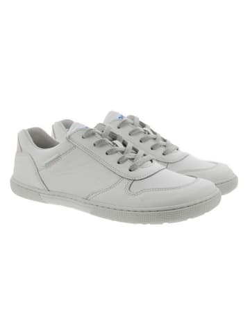 KOEL Damen- Schnürschuhe  in Weiß