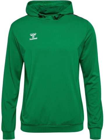 Hummel Hummel Kapuzenpullover Hmlauthentic Multisport Herren Atmungsaktiv Schnelltrocknend in JELLY BEAN