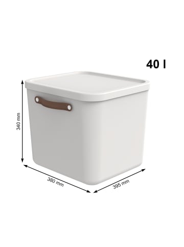 Rotho 2er-Set Aufbewahrungskiste 40l in Mistelweiß