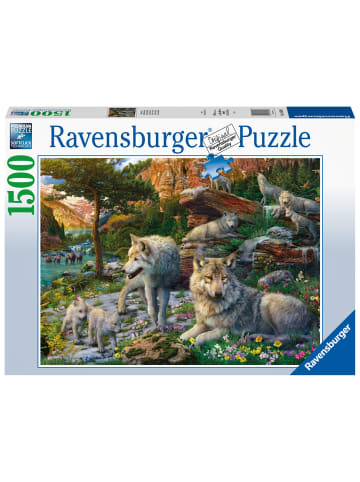 Ravensburger Ravensburger Puzzle 16598 - Wolfsrudel im Frühlingserwachen - 1500 Teile...