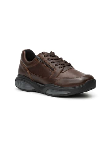 Xsensible Sneaker Low in braun