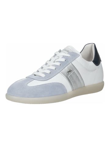Sneaker Weiß/Blau