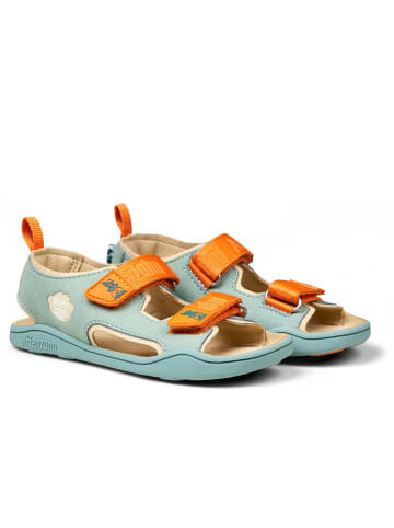 Affenzahn Sandale Airy Hase in Türkis
