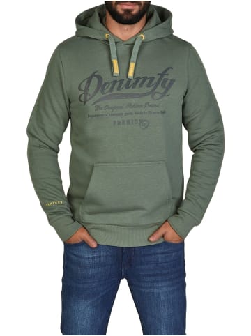 DENIMFY Pullover DFArno in Grün