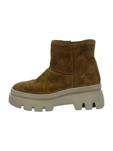 Paul Green Boots in Braun
