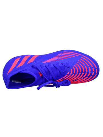 adidas Fußballeschuhe PREDATOR EDGE.2 in Blau