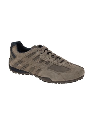 Geox Sneakers Low UOMO Snake A in grau
