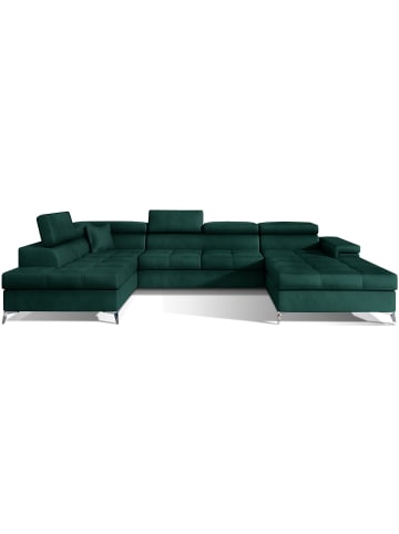 MF Design Eduard Recamiere Links in Flaschengrün -  (L) 205 x (B) 337 x (H) 88 cm