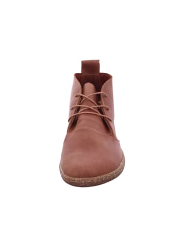 Esgano Damenschnürrstiefel kalt flach Da.-Sneaker in  Braun