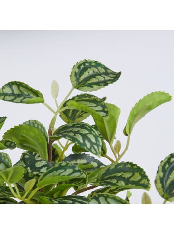 Butlers Kunstblume FLORISTA Plea Cadariiere in Grün