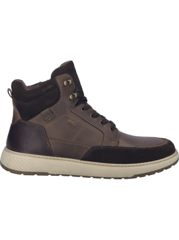 Josef Seibel Stiefelette Clayton 50 in braun