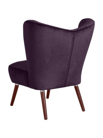 others SESSEL Kathy Bezug Samtvelours Buche nussbaum dunkel / purple