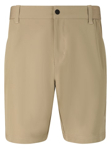 Whistler Shorts Barrie in 5372 Weathered Teak