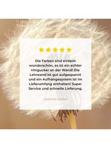 MuchoWow Leinwand bilder Nahaufnahme Flaum (BxH)