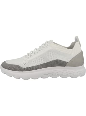 Geox Sneaker low U Spherica A in weiss