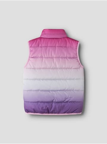 name it Gilet in Phalaenopsis1