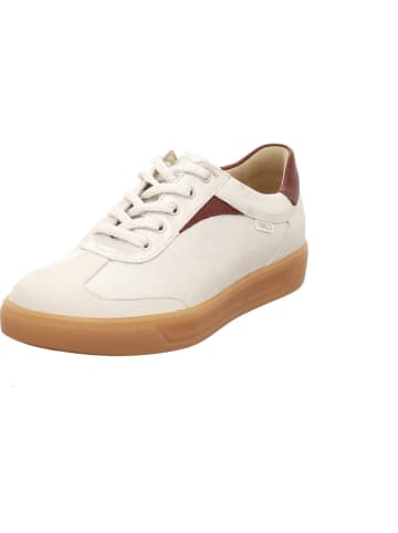 Finn Comfort Sneaker Low in grau