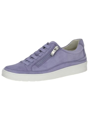 Caprice Sneaker in LAVENDER SUEDE