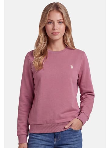U.S. Polo Assn. Pullover USZoee – Damen Sweatshirt mit Rundhalsausschnitt in Rose